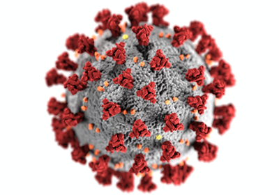 EPO - Fighting coronavirus